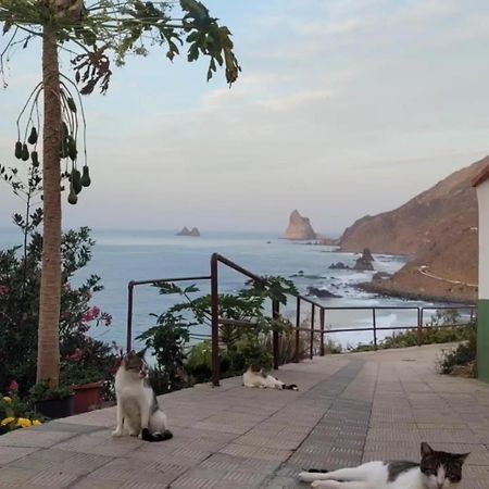 Casa Manolo Paraiso Beach Trail Almaciga Exteriör bild